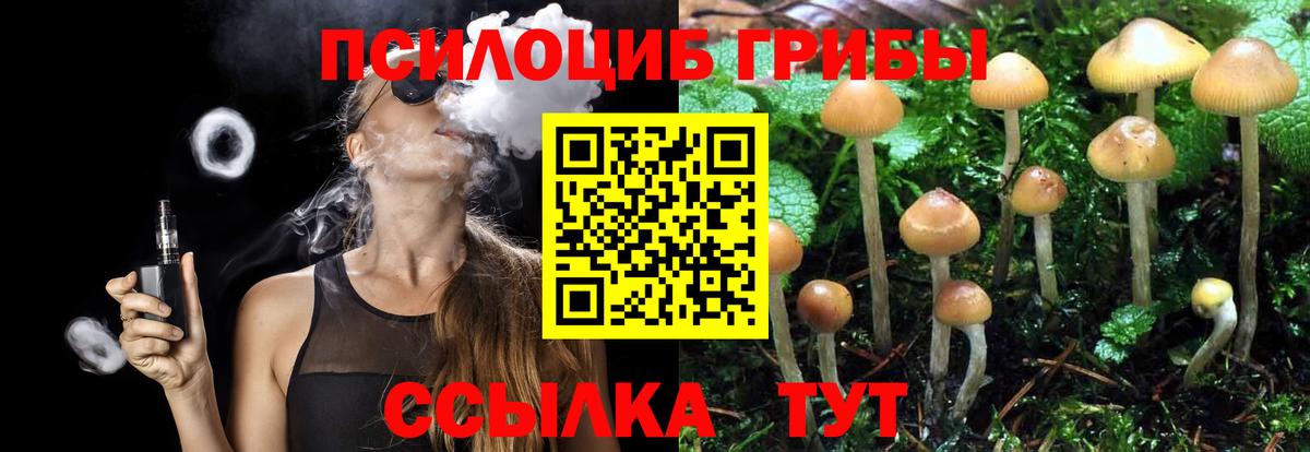 Хасавюрт  Галлюциногенные грибы Cubensis  Вход с VPN 